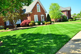 beautiful lawn in front of home