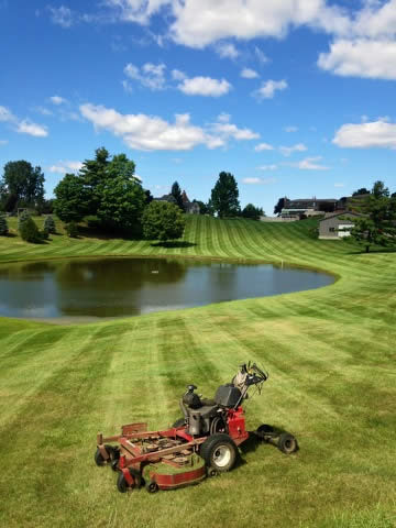 Lawn Services, lawn mower with beautiful grass